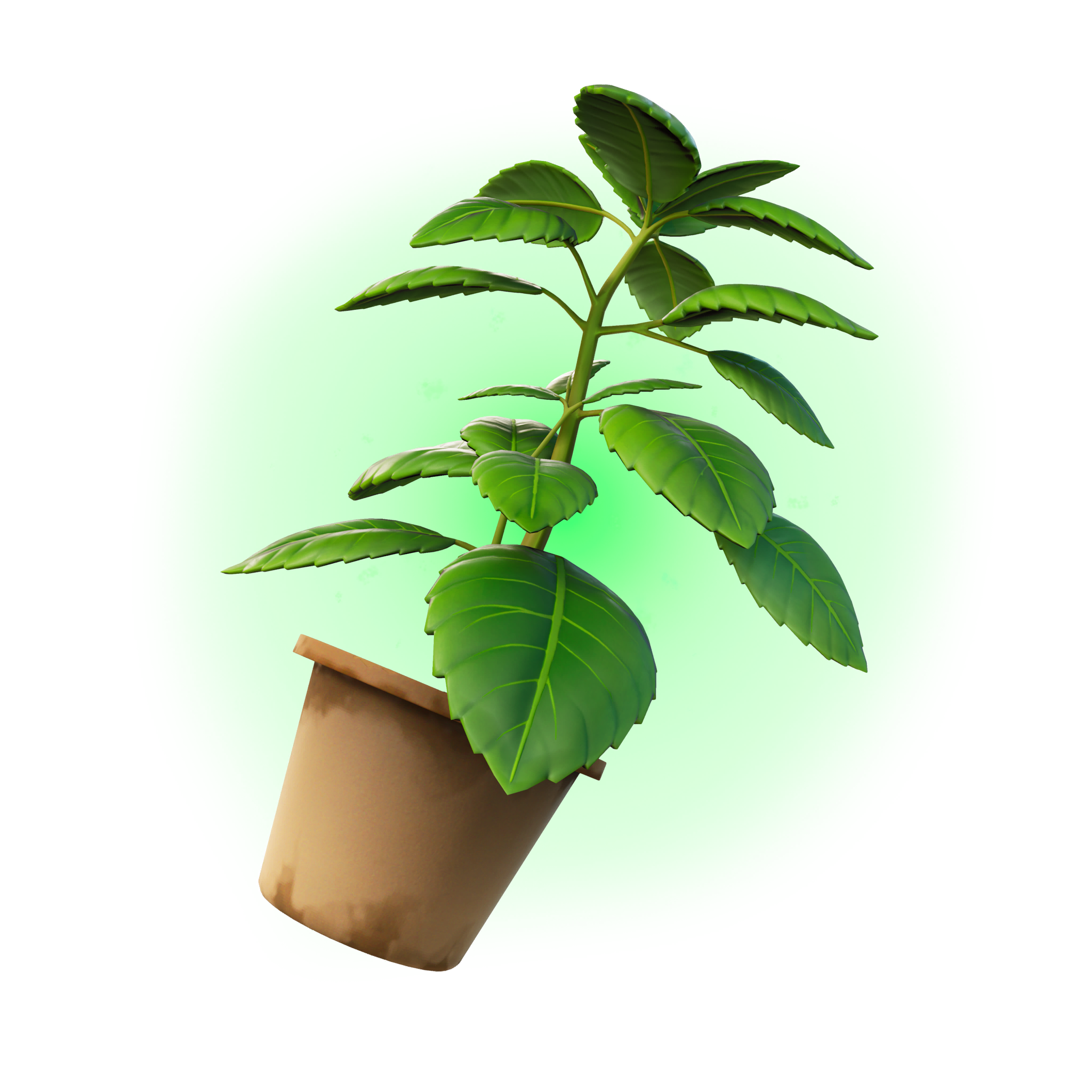 Green Herb