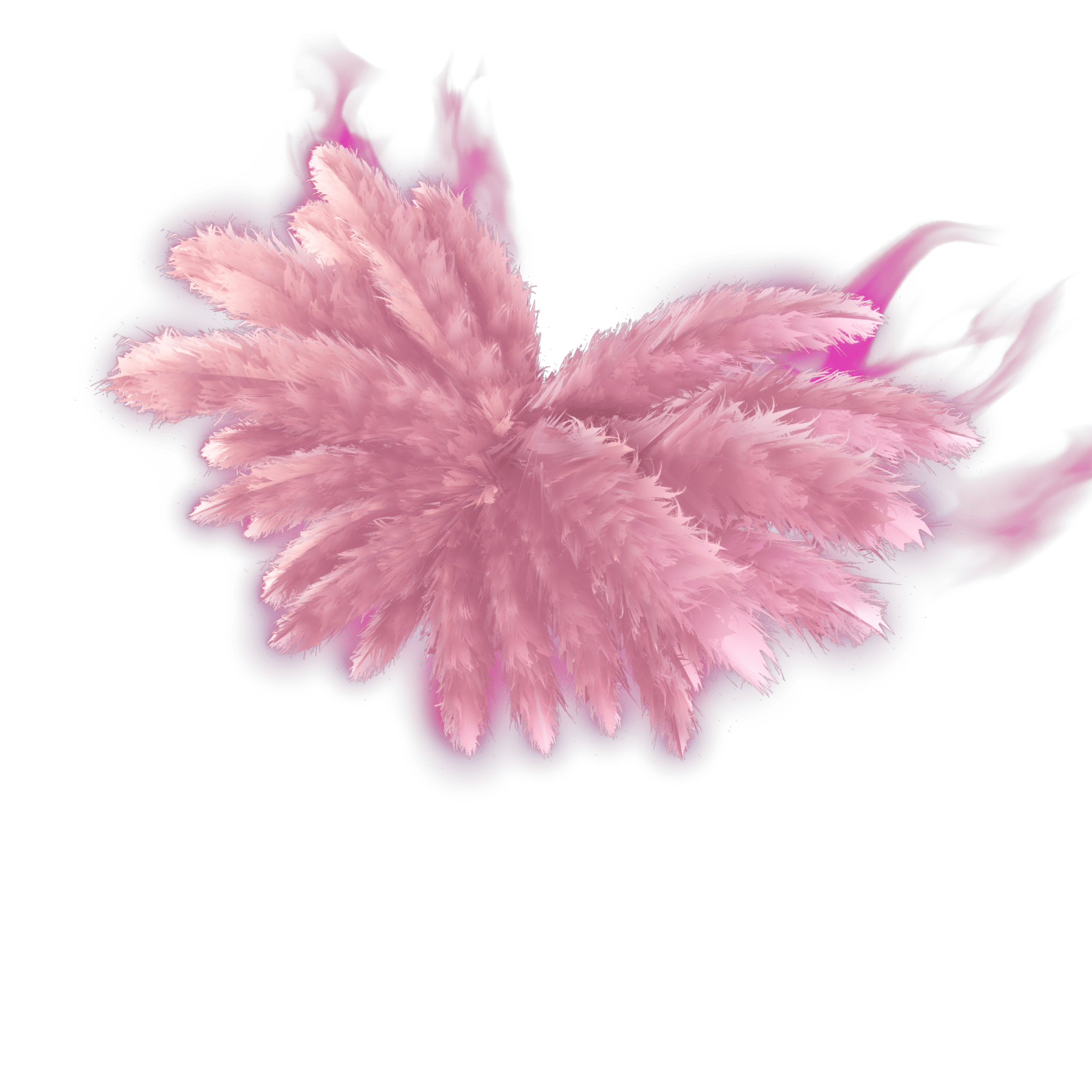 Madison's Angel Wings